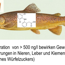 Wirkung auf Fische